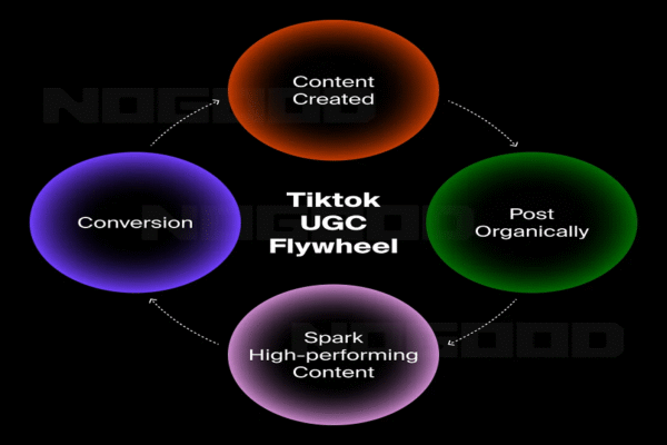 Your Customers, Your Best Marketers: The Unstoppable Rise of TikTok UGC what is TikTok UGC