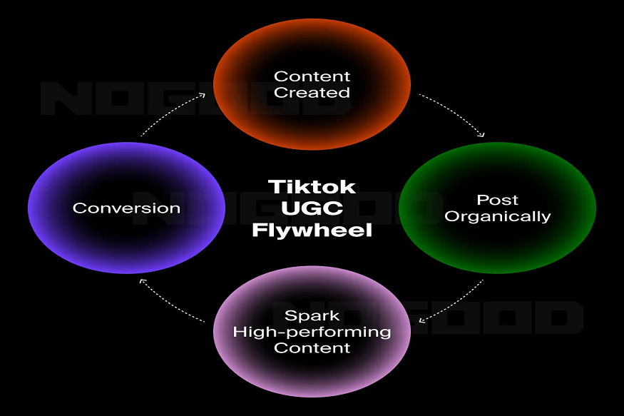 what is TikTok UGC
